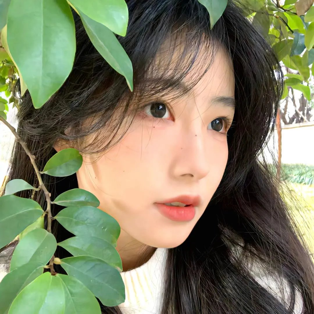 米摩沙公寓